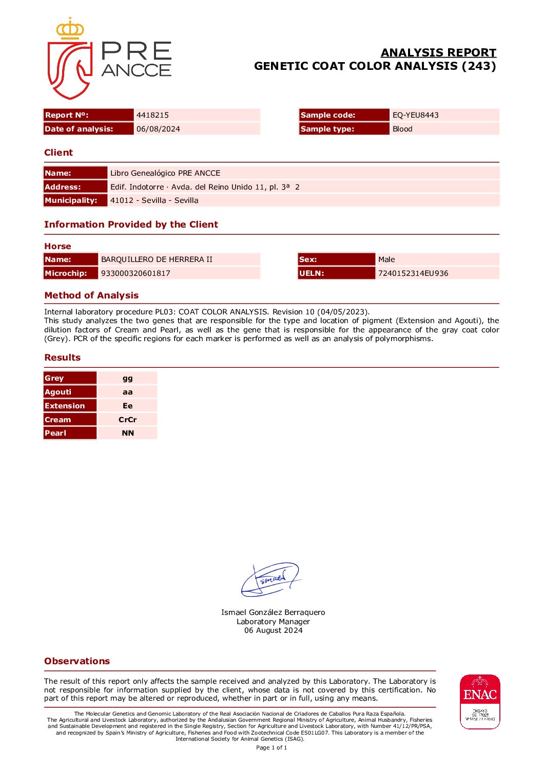 Barquillero de Herrera II - Image 4